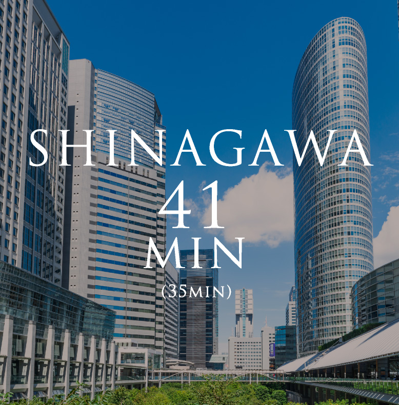 SHINAGAWA 41min