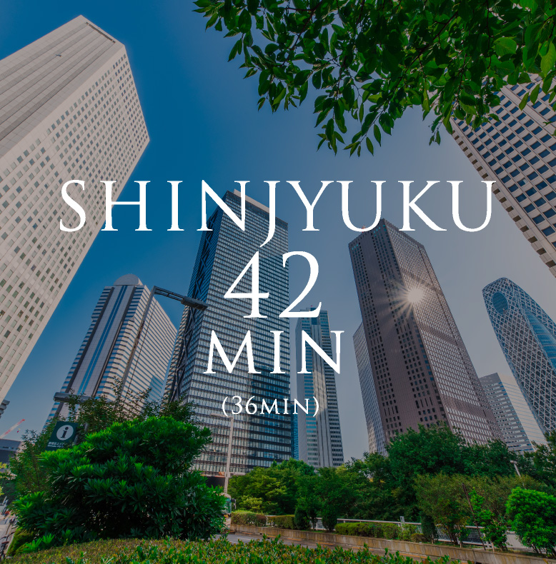 SHINJYUKU 42min