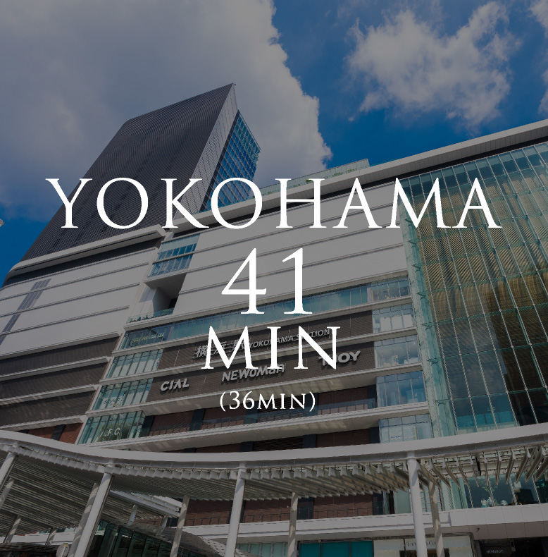 YOKOHAMA 41min