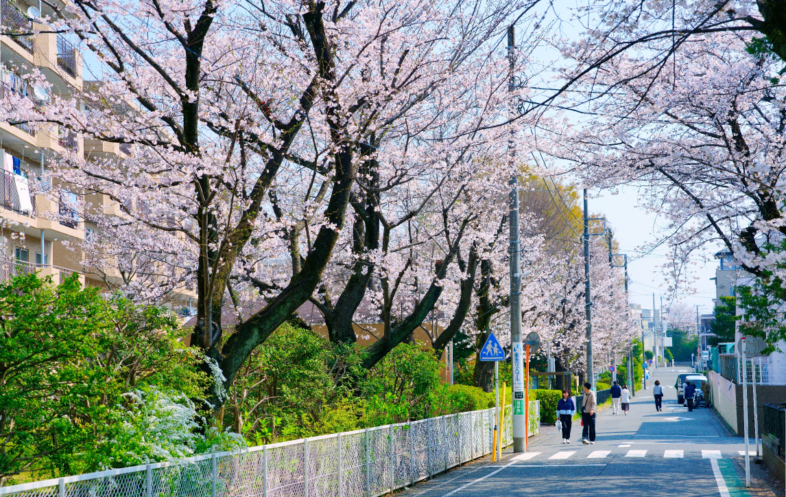 宮前平公園(徒歩5分/約380m)