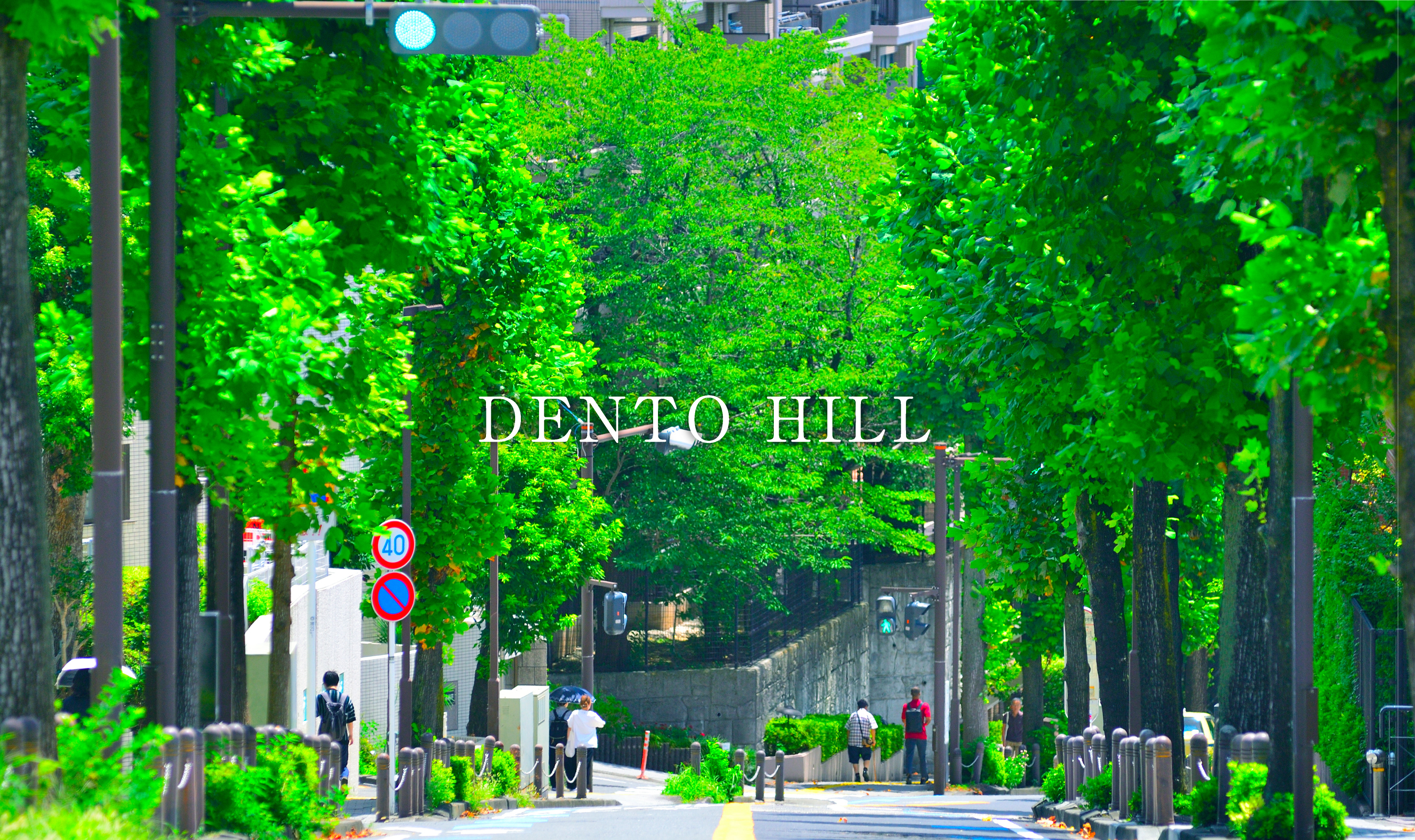 DENTO HILL