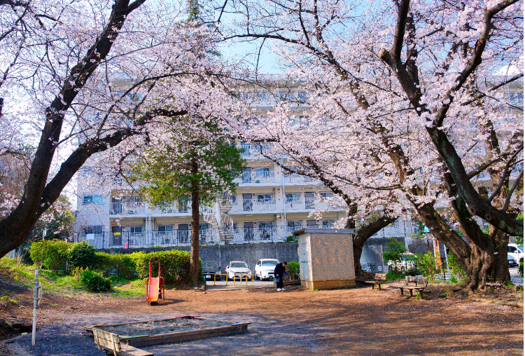 宮前平第3公園(徒歩3分/約210m)
