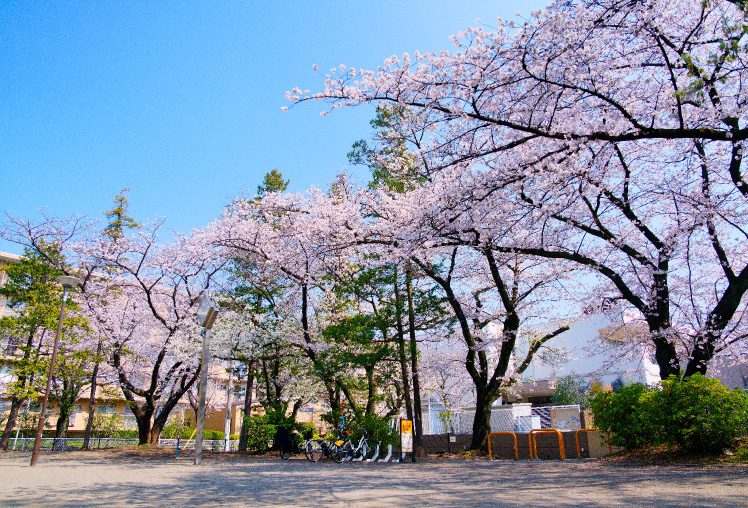 宮前平公園(徒歩5分/約380m)