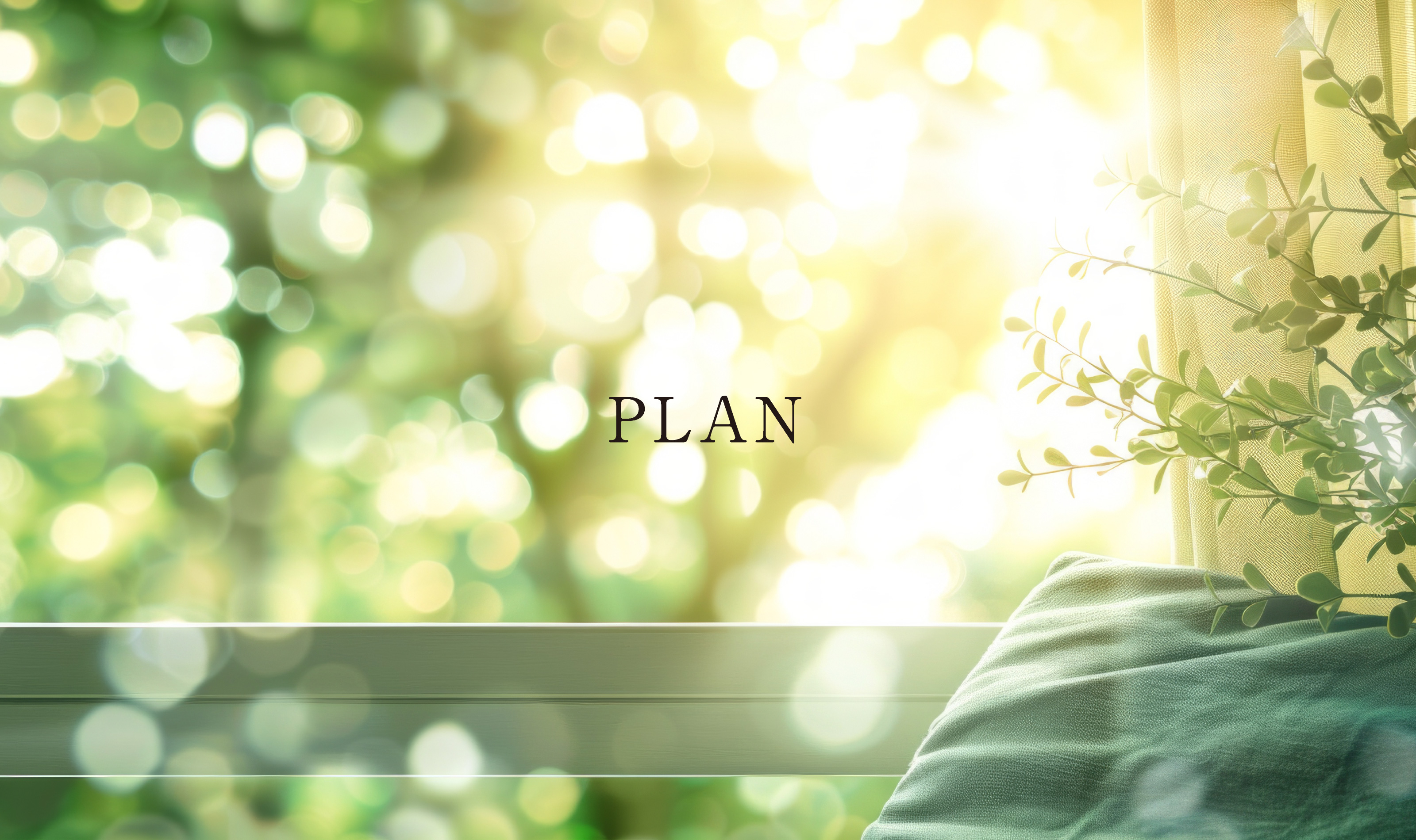 PLAN