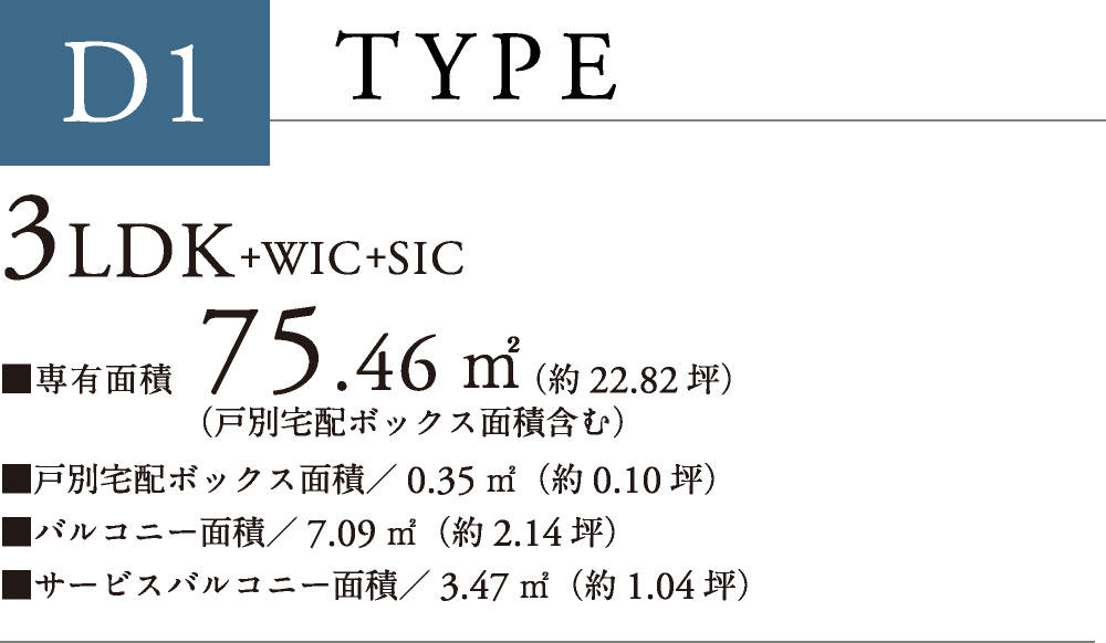 D1 TYPE
