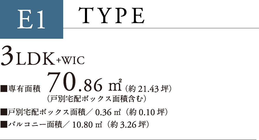 E1 TYPE